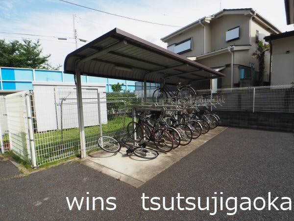 パインニードル その他6