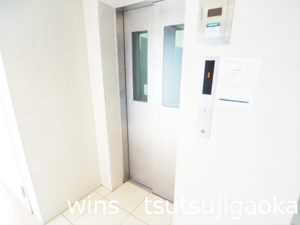 パインニードル その他7