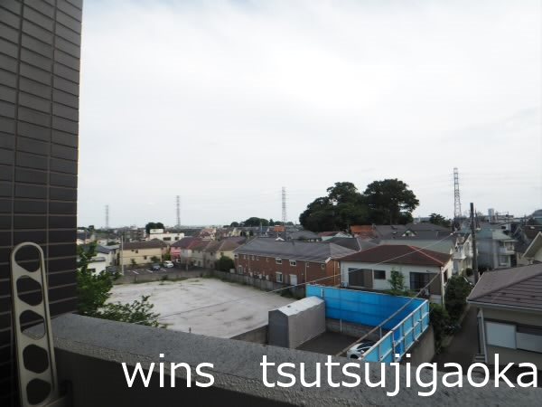 パインニードル その他8