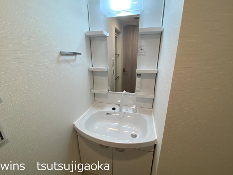 LUMINOUSつつじヶ丘（Eタイプ） その他1