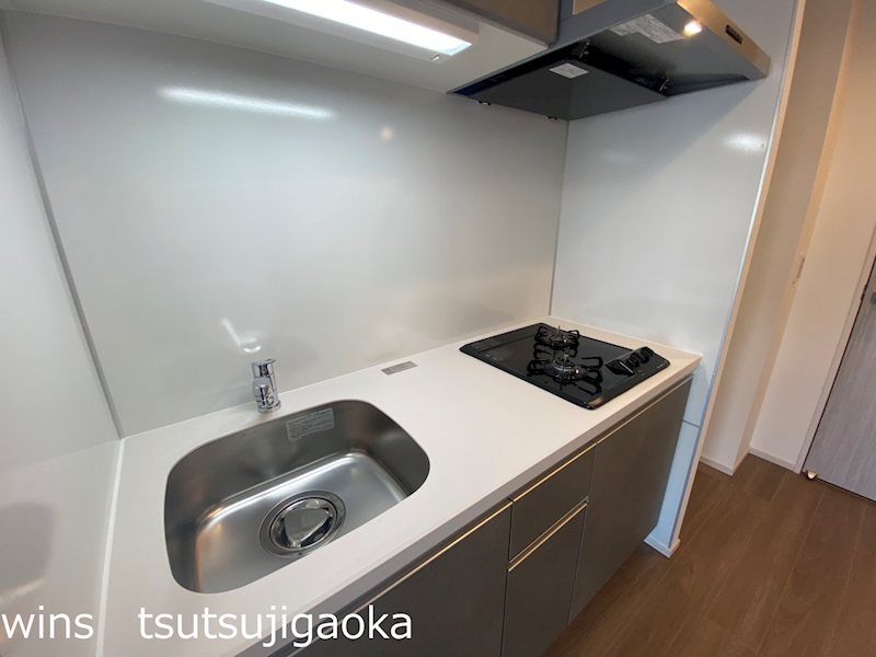 LUMINOUSつつじヶ丘（Bタイプ） キッチン