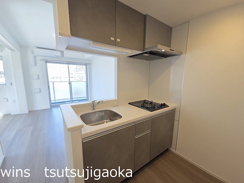 LUMINOUSつつじヶ丘（D3タイプ） キッチン