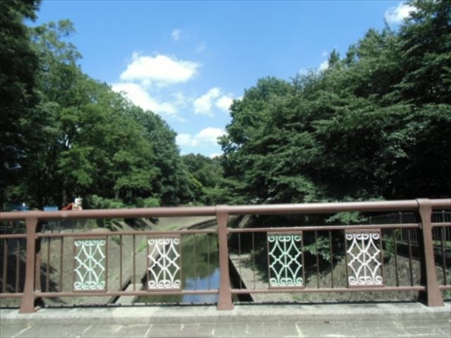 ロークワットコート永福 周辺画像6