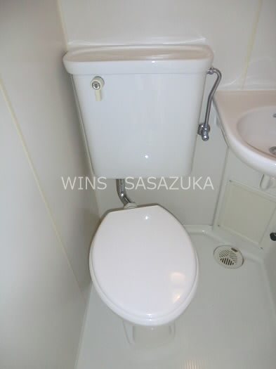 サンフラワー その他2