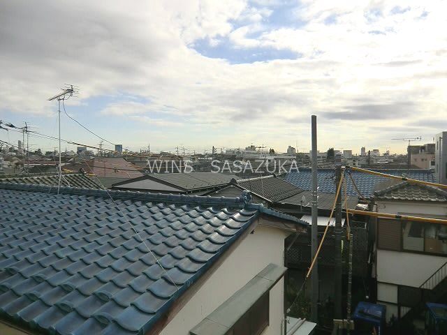 サンフラワー その他4