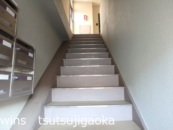 ASCEND（アセンド） その他6