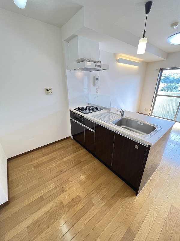 エルミタージュ その他11