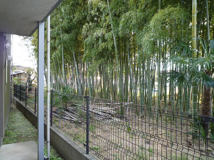 ハウスフォーレスト その他7