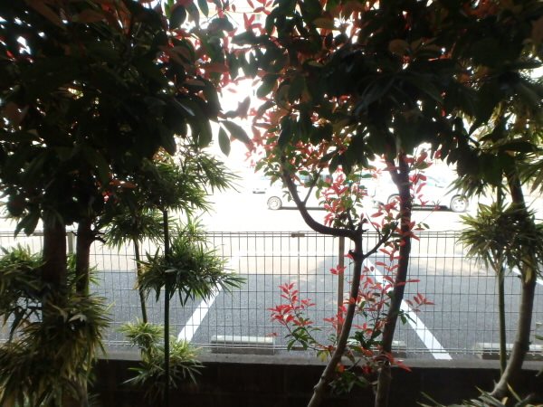 光和メゾン ベランダ