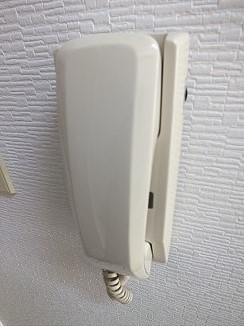 ロイヤルカイザー その他1