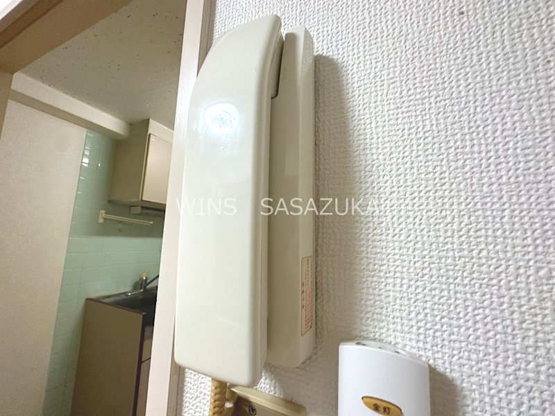 アイリスカワナゴ その他5