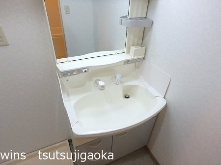 パインルーフ国領 その他1