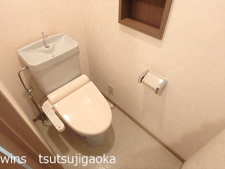 パインルーフ国領 その他3