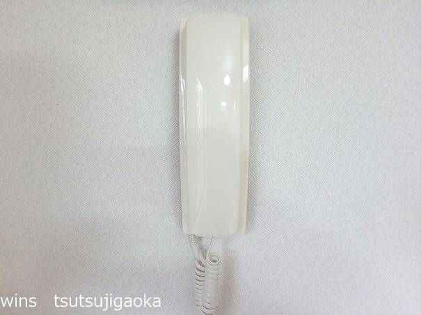 パインルーフ国領 その他4