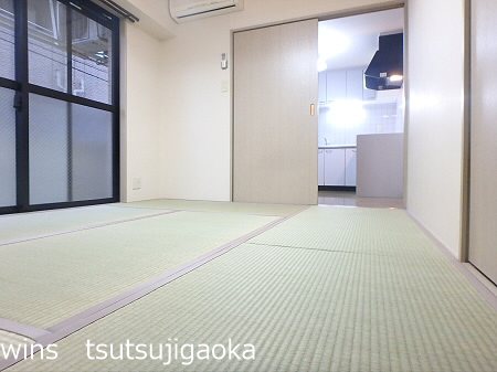 パインルーフ国領 その他5