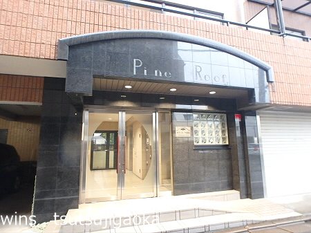 パインルーフ国領 その他8