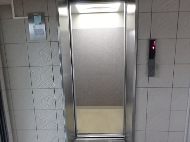 パインルーフ国領 その他8