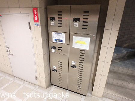 パインルーフ国領 その他9