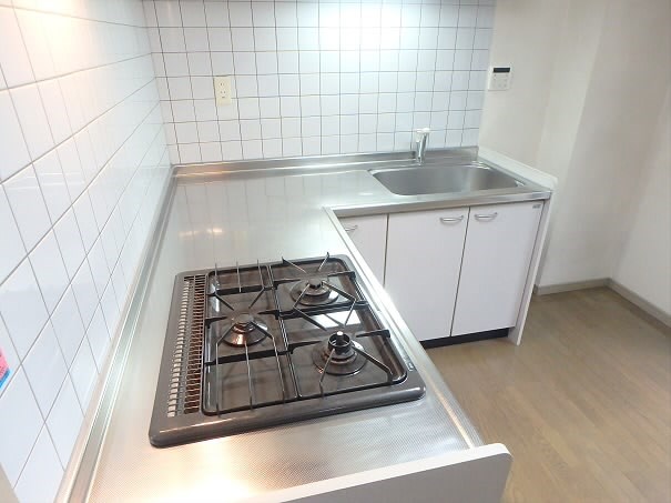 パインルーフ国領 その他9