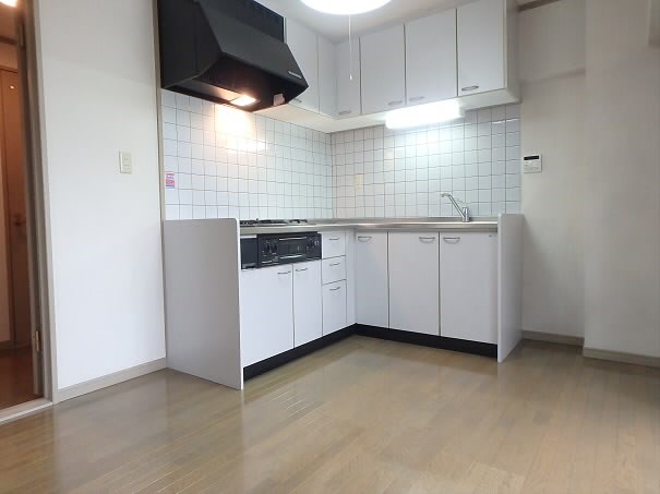 パインルーフ国領 その他10