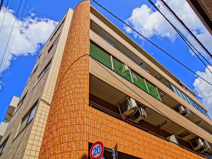 パインルーフ国領 その他11