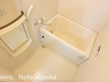 パインルーフ国領 風呂画像