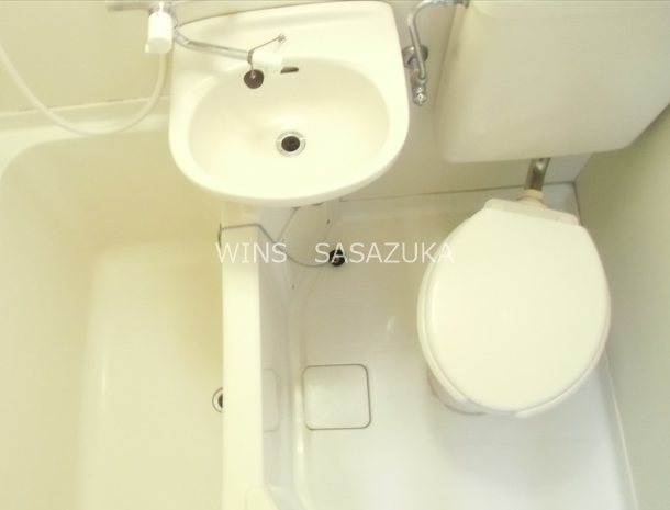 フラットハナタキ  その他2