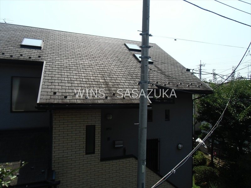 フラットハナタキ  その他4