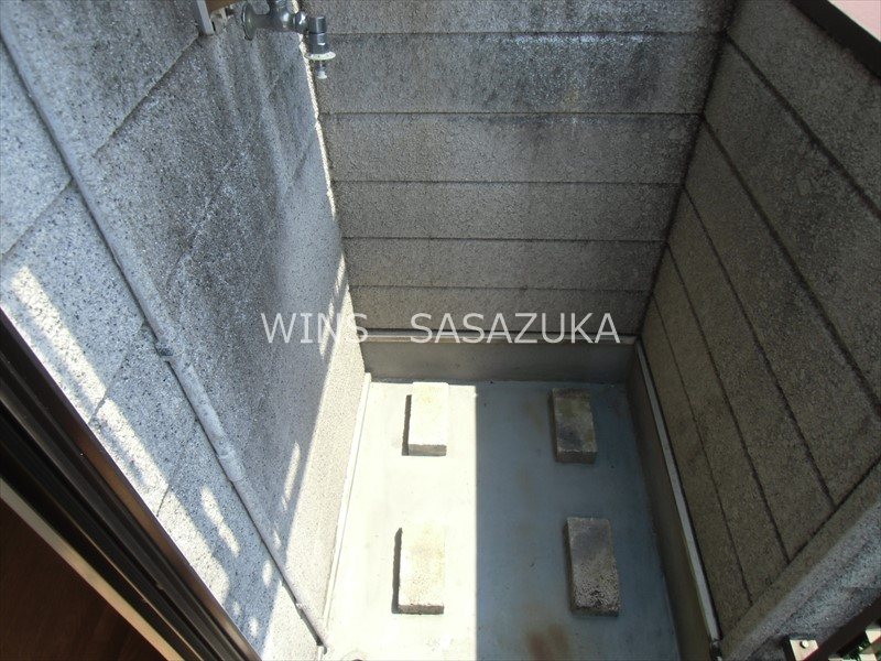 フラットハナタキ  その他8