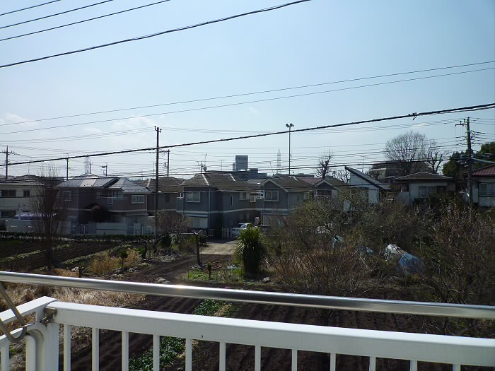 サンホワイト その他2