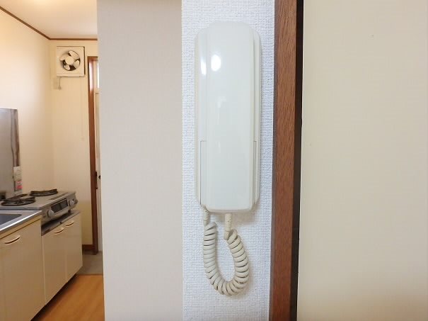 サンホワイト その他5