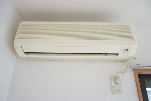 パレスのばら その他6