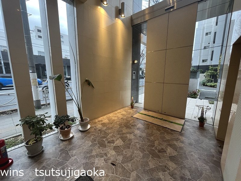 ルピナス その他2