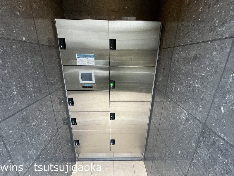 ルピナス その他4