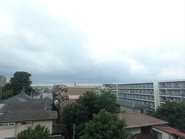 ルピナス その他9