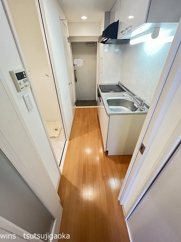 ルピナス その他13