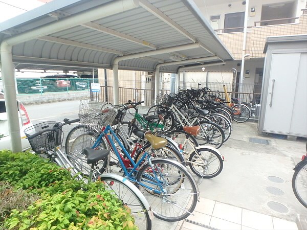 ルピナス その他14