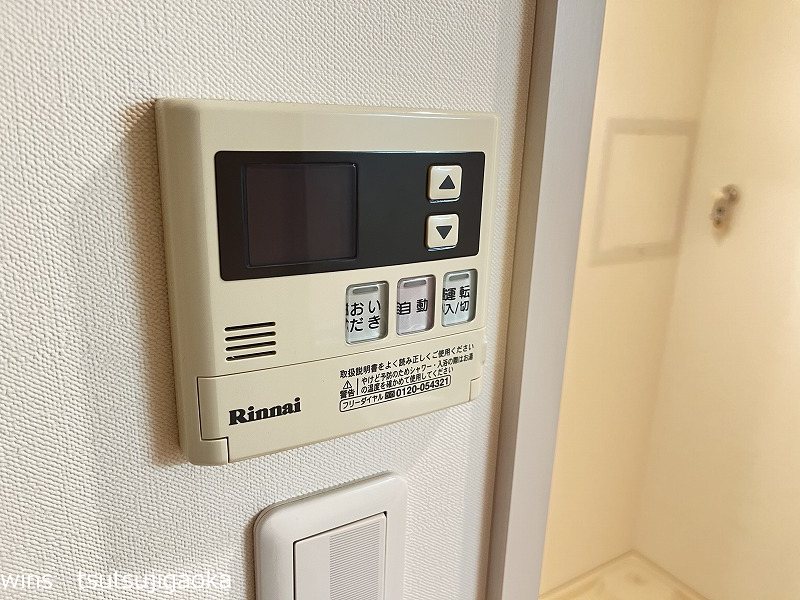 ルピナス その他15