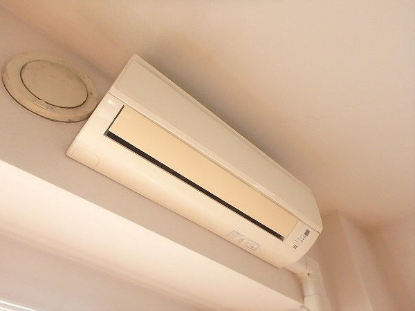 ルピナス その他16