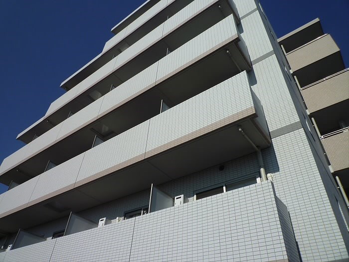 ルピナス その他17