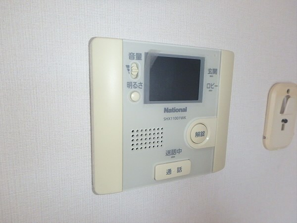 ルピナス その他19