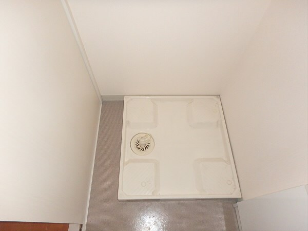 ルピナス その他20