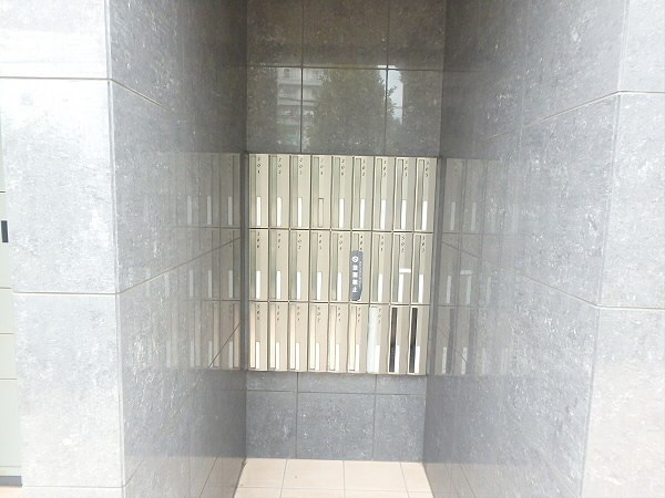 ルピナス その他21