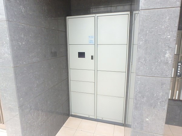 ルピナス その他22