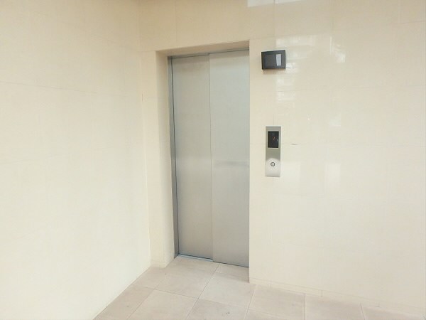 ルピナス その他23