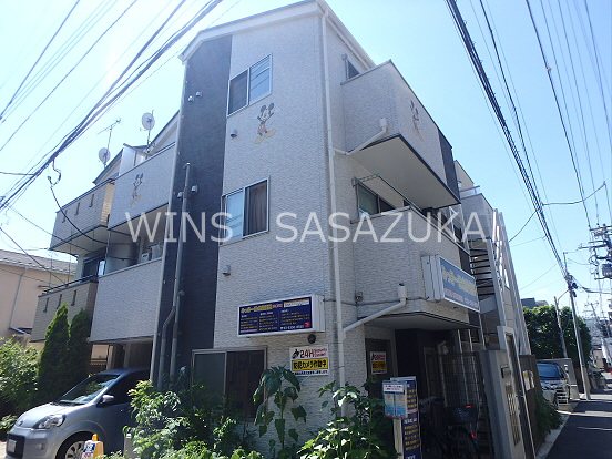 ファレノプシス 外観