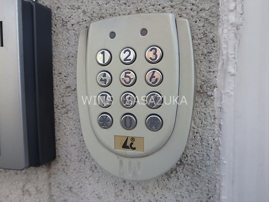 ファレノプシス その他2