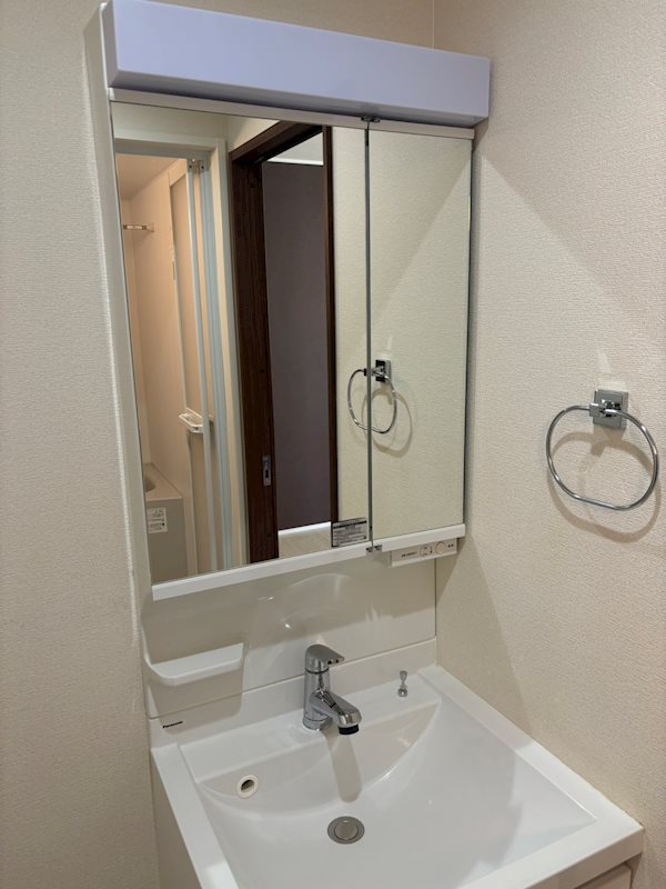 フェリシア その他1