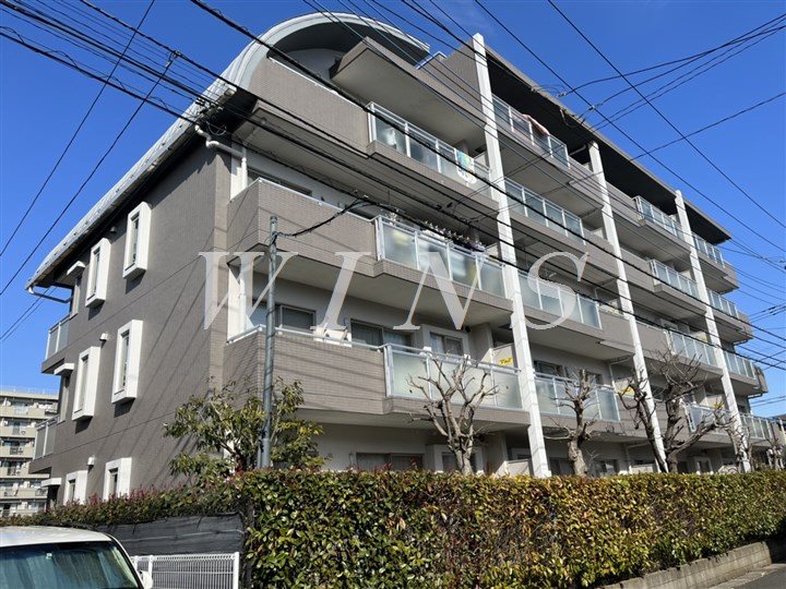 その他11