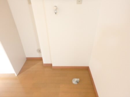 シャトル聖つつじヶ丘 その他